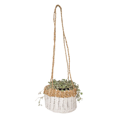 Full view natural white hanging basket holding a plant