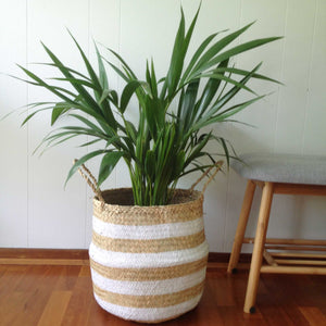 Belly Basket White Striped Natural Seagrass