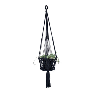 Full view of single black macrame plant hangers styled with a plant - silver falls.
