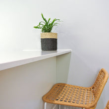 Black plant basket on a kitchen island bench with rattan bar stool