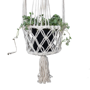 Detail view of the single white macrame plant hangers holding a plant