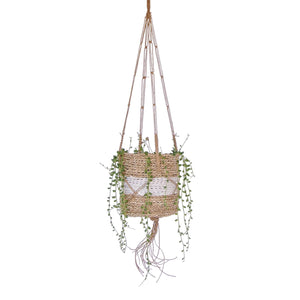 Baskets for hanging plants natural with white stripe full view of basket with a succulent plant string of pearls