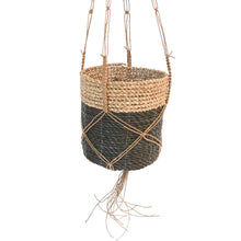 Mixed Black Hanging Baskets