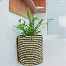 Mixed small black basket in a bathroom holding an indoor fern plant
