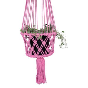 Closeup view of pink macrame potholder holding a silver falls hanging plant