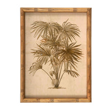 Front of print 3 of vintage framed palm tree print