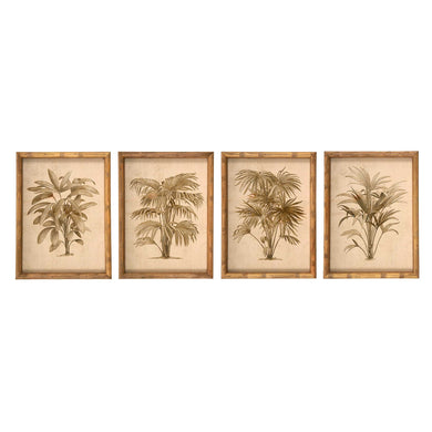 Full view of four vintage palm tree framed print