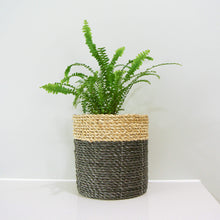 Small black basket with indoor plant fern on a kitchen bench