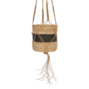 Mixed Black Hanging Baskets