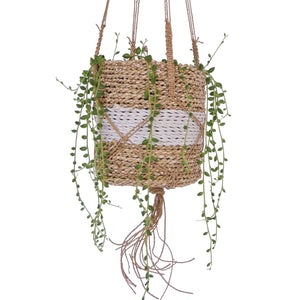 Baskets for hanging plants natural with white stripe close up view of basket with a succulent plant string of pearls
