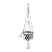 Full view of the single white macrame plant hangers holding a plant - Silver Falls