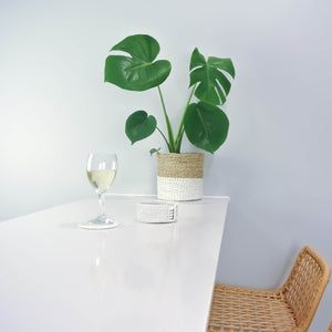 White small basket on a kitchen bench holding an indoor plant Monstera