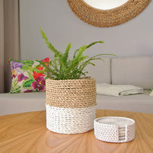 White small basket on a living room coffee table holding a indoor plant - fern.